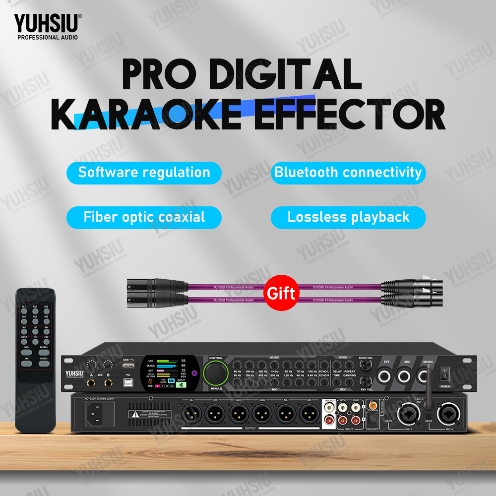 YUHSIU Karaoke Digital Effects - огляд і ціна Audio Music Dj